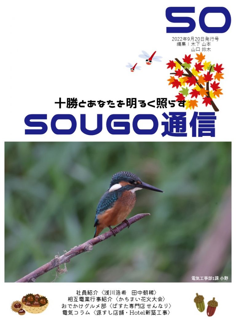 イメージ図／SOUGO通信第50号　発行しました！